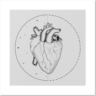 Anatomical Heart Posters and Art